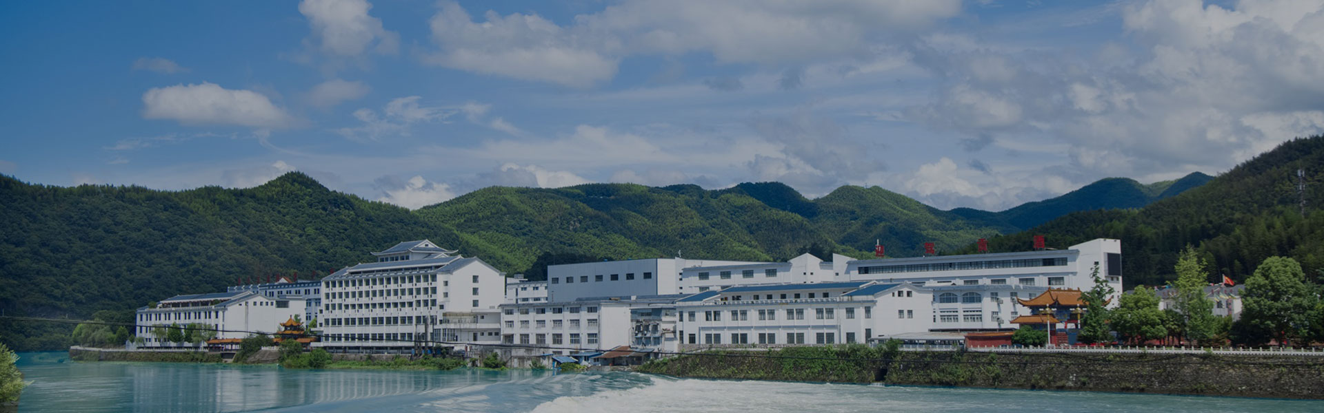 今年会 | 官方网站