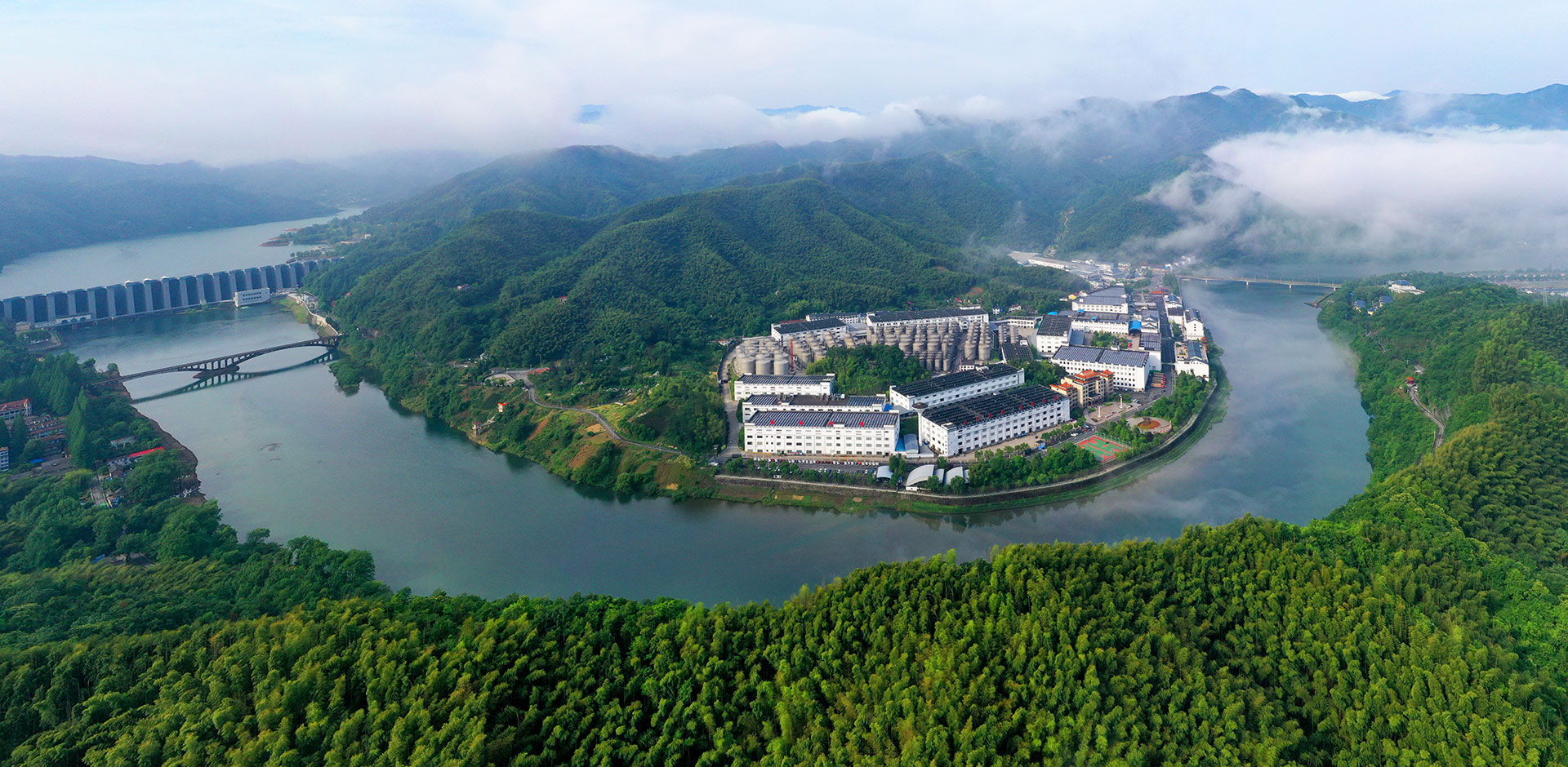 今年会 | 官方网站