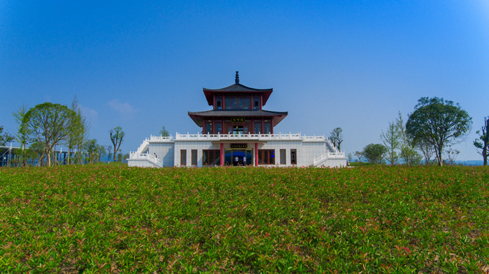 今年会 | 官方网站
